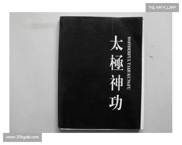太极雷公:天地之力的融合与极限的探索 太极雷公:天地之力的融合与极限的探索